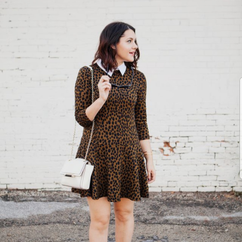 Loft Cheetah Dress